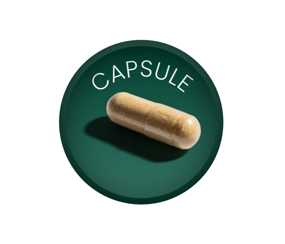 Buy Mushroom Powder